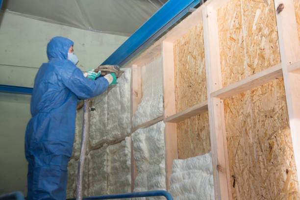 Best Blown-in Insulation  in Logan, IA